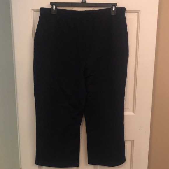 Lauren navy ankle length pants 2X - Picture 2 of 4